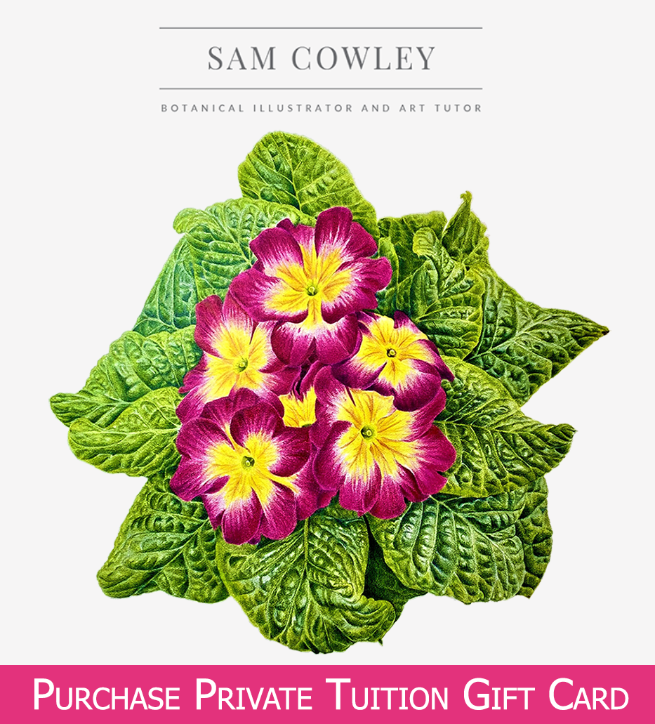 Purchase Private Tuition Gift Card