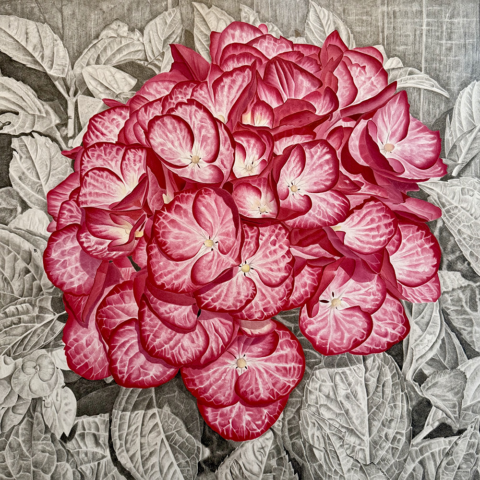 Flourish of pink